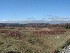 Dolly Sods
